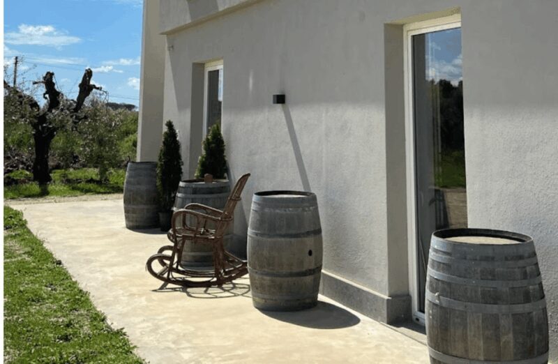 Boutique Winery Visit & Tasting Near Rome - Customer Feedback