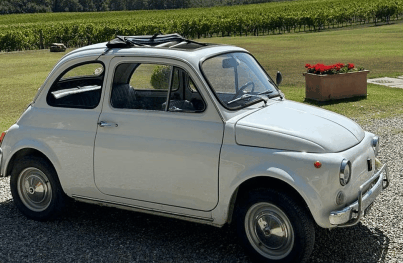 Boutique Winery Visit & Wine Tasting Near Arezzo - Winery and Vineyard Details