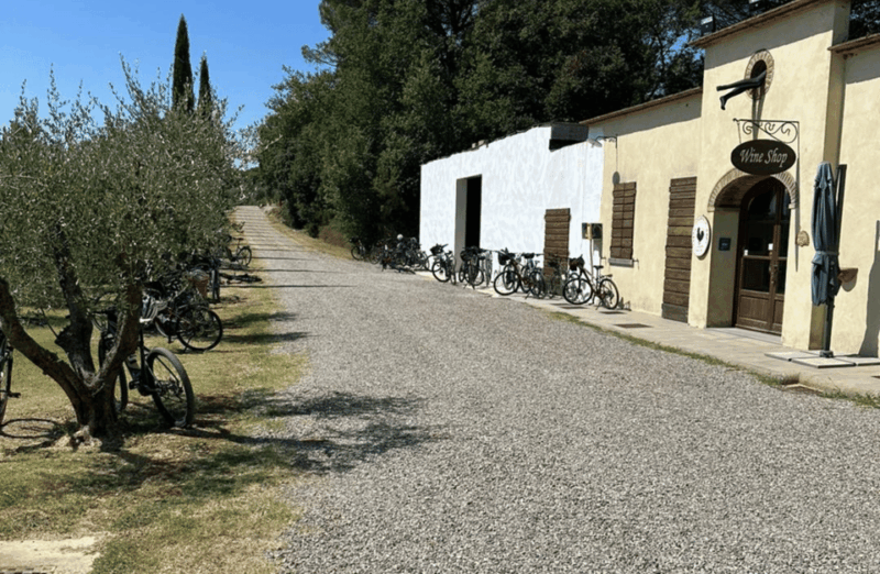Boutique Winery Visit & Wine Tasting Near Arezzo - Scenic Views and Hospitality