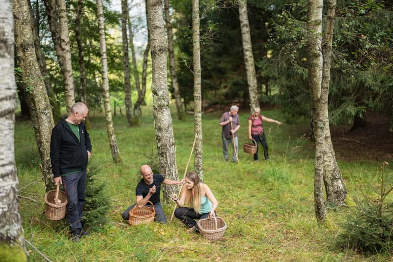 Bovec: Mushroom Picking and Culinary Session - Key Points