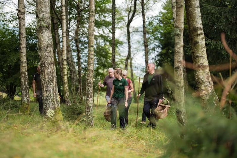 Bovec: Mushroom Picking and Culinary Session - The Practicalities: What to Know Before You Go