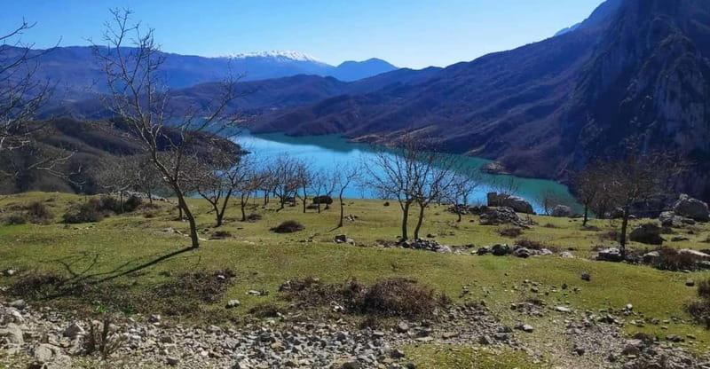 Bovilla Lake, Hiking and Swimming, Day Tour - A Practical Look at the Bovilla Lake Day Tour