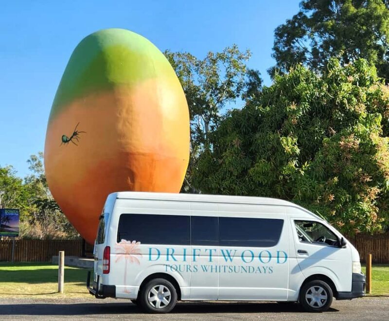 Bowen Beaches & Discovery: Top of the Whitsundays - Why This Tour Works for Travelers