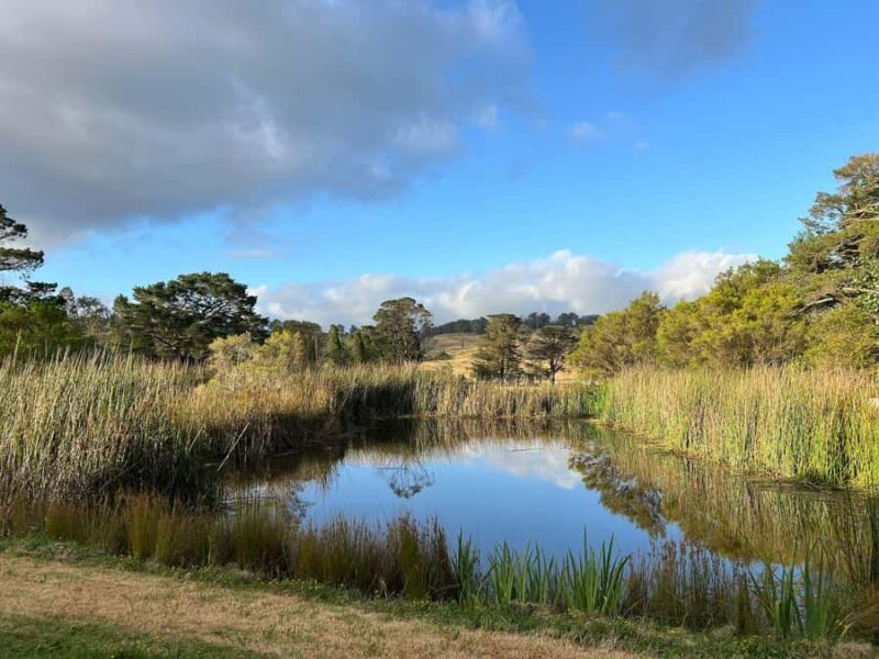 Bowral Honey Farm Tour, Honey Tasting & morning Tea - Key Points