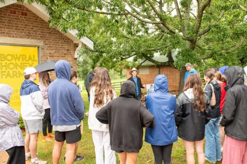 Bowral Honey Farm Tour, Honey Tasting & morning Tea - A Detailed Look at the Bowral Honey Farm Experience