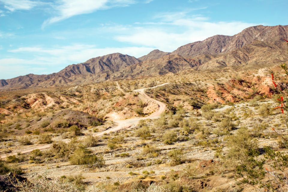 Box Canyon and Pinal Mountains Half-Day ATV Tour - Tour Details