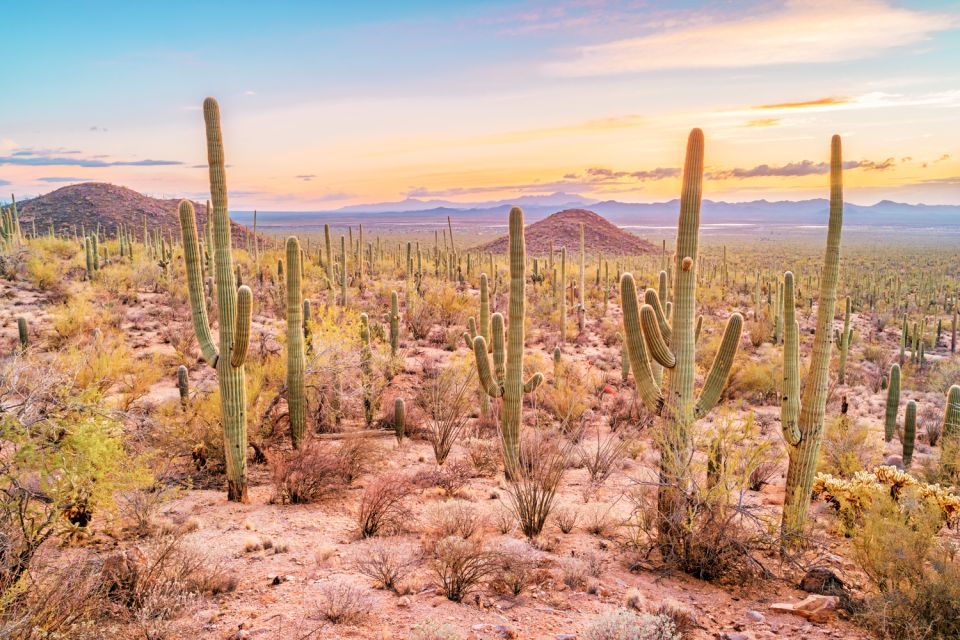 Box Canyon and Pinal Mountains Half-Day ATV Tour - Activity Description