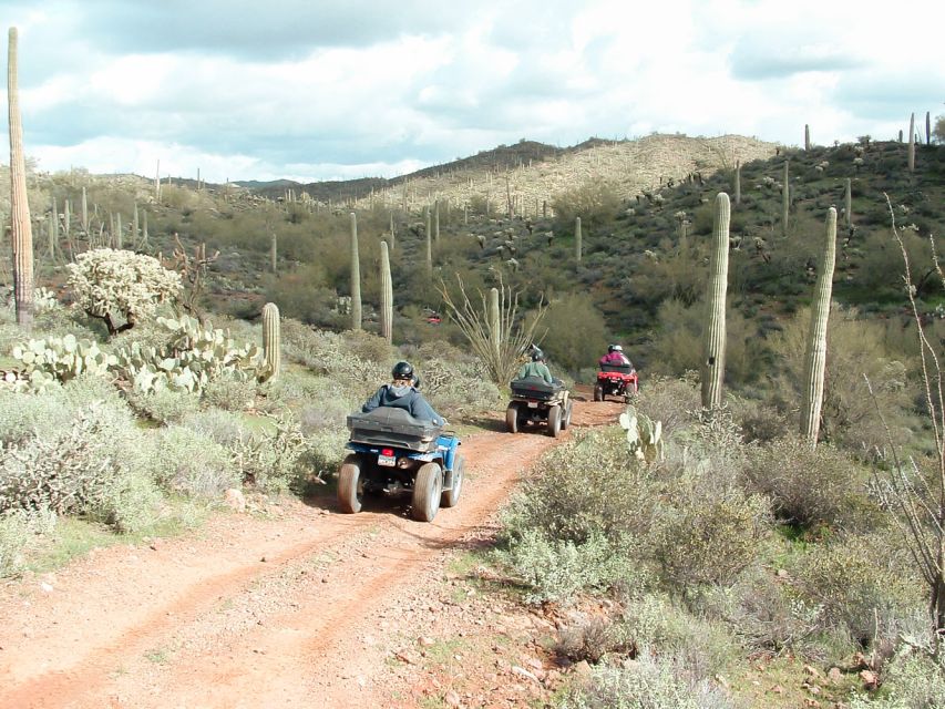 Box Canyon and Pinal Mountains Half-Day ATV Tour - Highlights of the Tour