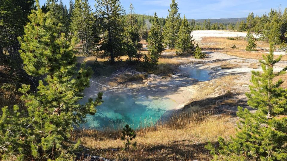 Bozeman: Yellowstone & Grand Teton National Park With Hotel - Highlights