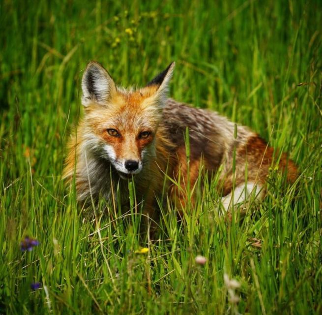 Bozeman: Yellowstone & Grand Teton National Park With Hotel - Directions