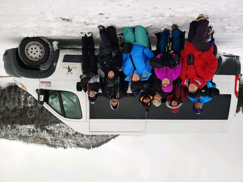 Bozeman: Yellowstone Wolves and Winter 4Day/3Night Adventure - Price and Inclusions