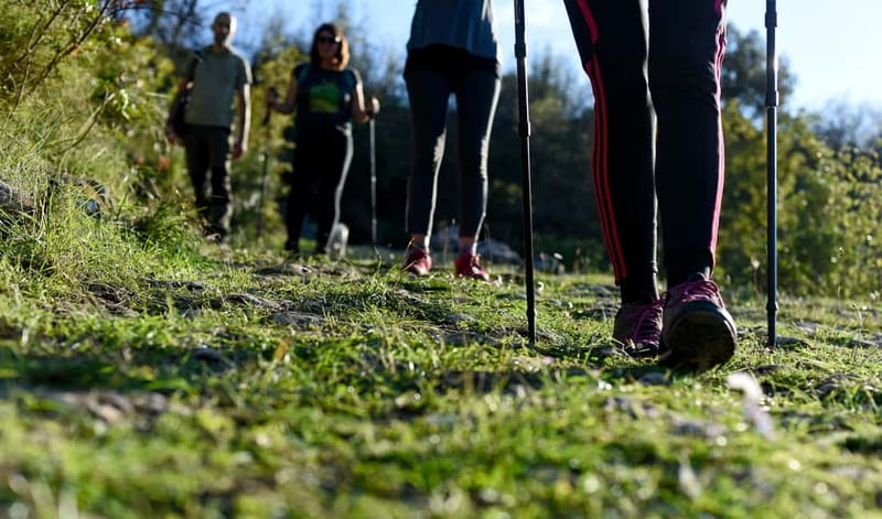 Bra island: Hiking Vidova gora krip Museum of olive oil - The Sum Up
