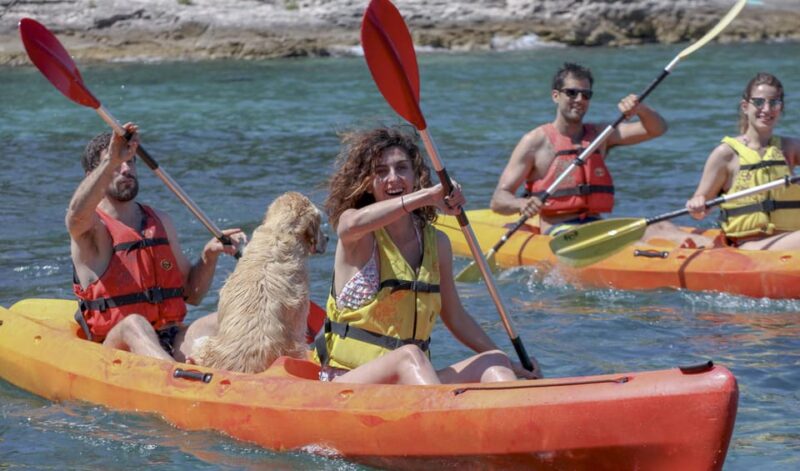 Brac Island: Postira to LovrečIna (St. Lovre) Sea Kayaking - Good To Know