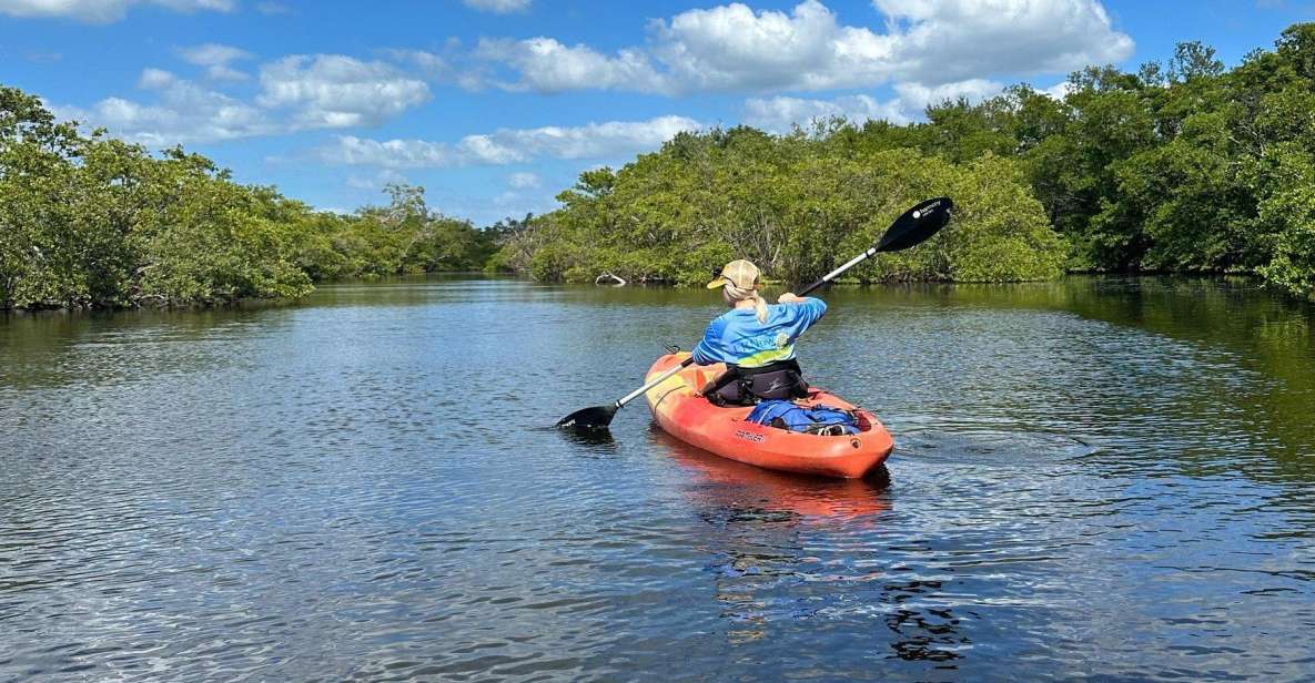 Bradenton: Anna Maria Island Guided Kayaking Manatee Tour - Photos and Videos Captured