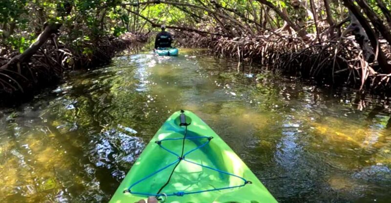 Bradenton: Guided Pedal Kayak Tour - The Sum Up