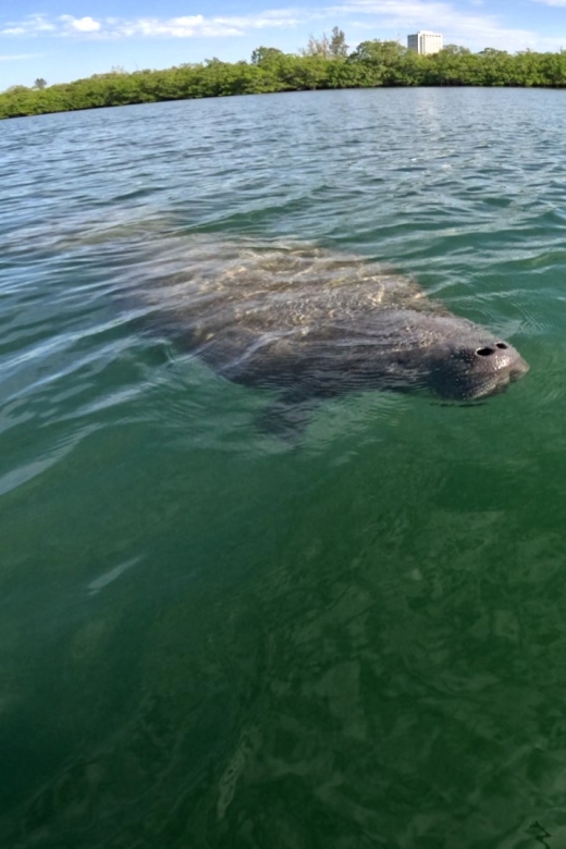Bradenton: Guided Pedal Kayak Tour - Pedal Kayaks and Gear