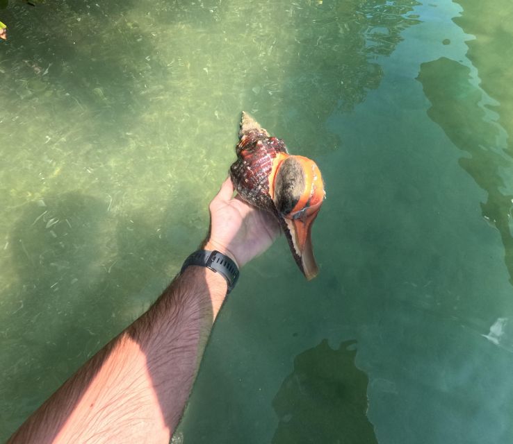 Bradenton: Guided Pedal Kayak Tour - Inclusions and Exclusions
