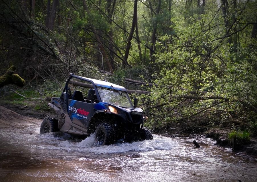 Braga: Off-Road Buggy Tour - Booking and Flexibility