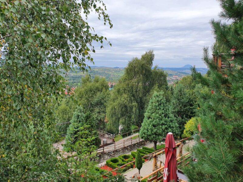 Bran Castle & Peles Castle - Premium Private Tour - Inclusions