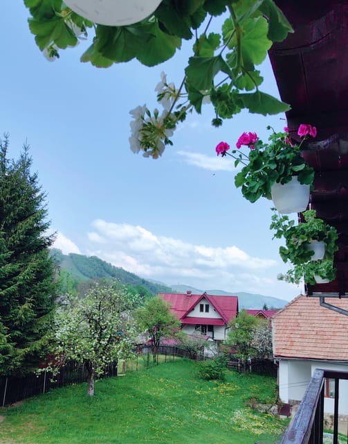 Bran: Rural Tour With Local Food & Accommodation in Șimon - Culinary Highlights