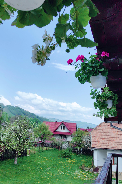 Bran: Rural Tour With Local Food & Accommodation in Șimon - Accessibility Information