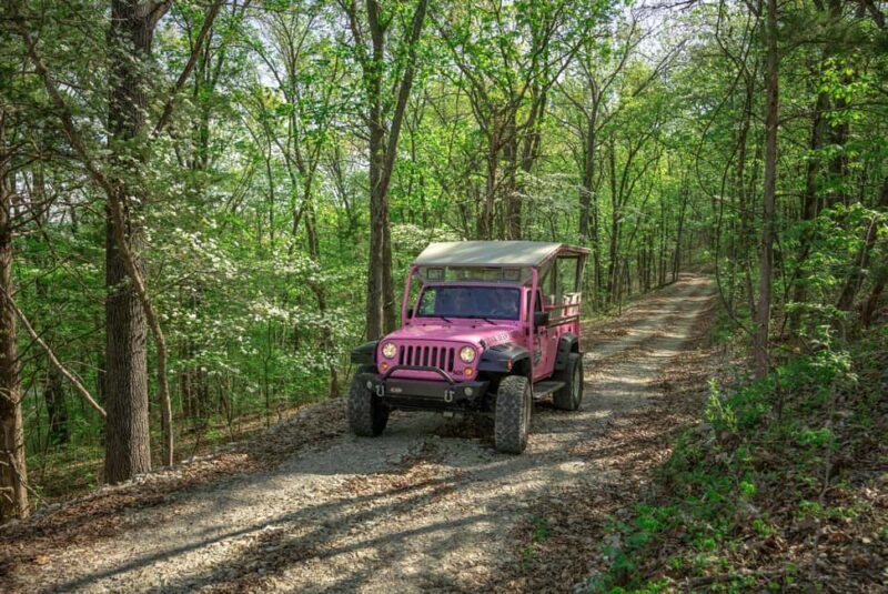 Branson: Downtown to Mountaintop Pink Jeep Adventure - An Introduction to Bransons Unique Charm