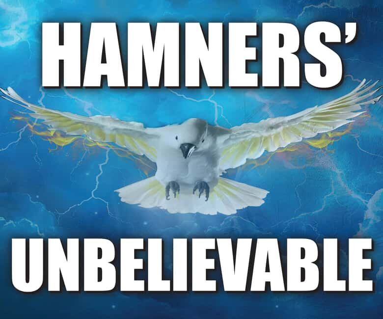 Branson: Hamners' Unbelievable New Year's Eve Extravaganza - Key Points