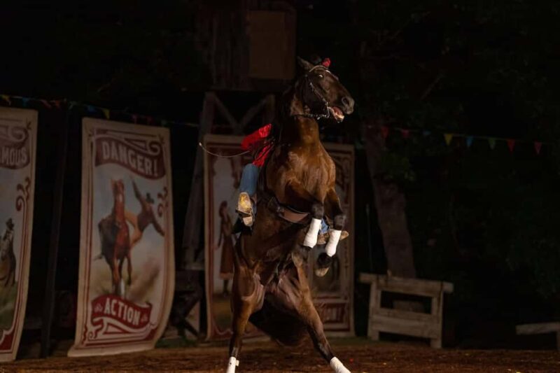 Branson: Shepherds Wild West Showdown - Final Thoughts