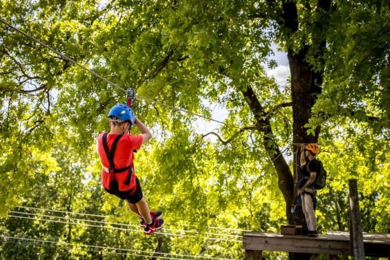 Branson: Zipline Canopy Tour - Key Points