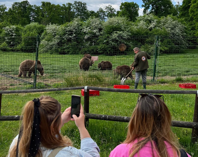 Brasov: Bran Castle, Bear Sanctuary, Rasnov (Peles Optional) - The Logistics: What to Expect  