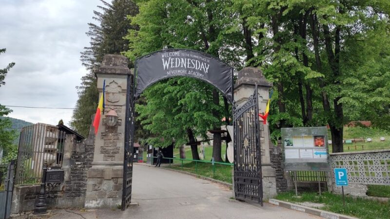 Brasov: Bran, Peles and Cantacuzino Castles Day Tour - Castles Explored