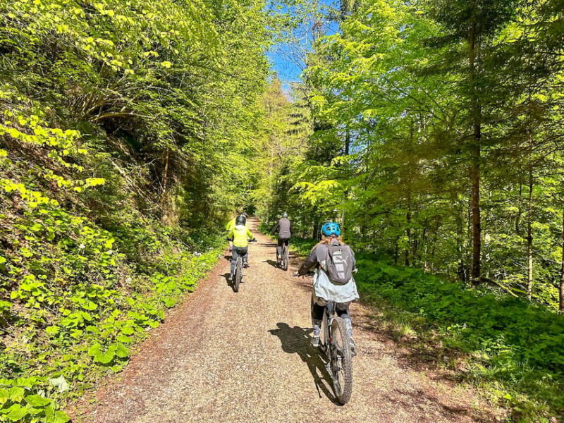 Brasov: E-Bike Tour to Poiana Brasov (Old Town & Forest) - Good To Know