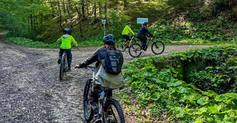 Brasov: E-Bike Tour to Poiana Brasov (Old Town & Forest) - Booking Information