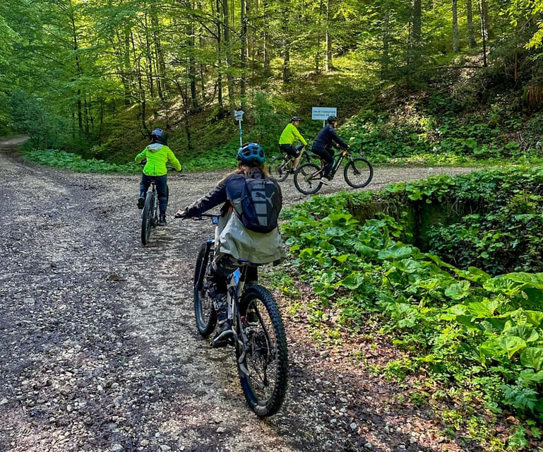 Brasov: E-Bike Tour to Poiana Brasov (Old Town & Forest) - Experience Details