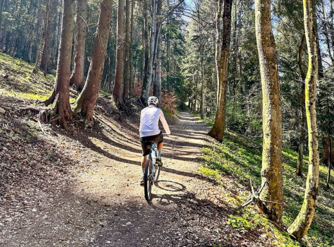 Brasov: E-Bike Tour to Poiana Brasov (Old Town & Forest) - The Sum Up