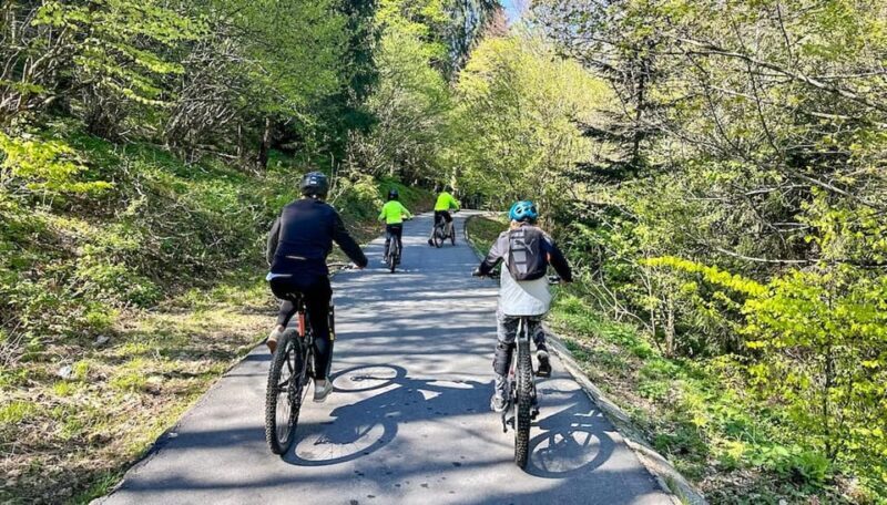 Brasov: eBike Tour to Poiana Brasov (Old Town & Forest) - Authenticity and Local Flavor