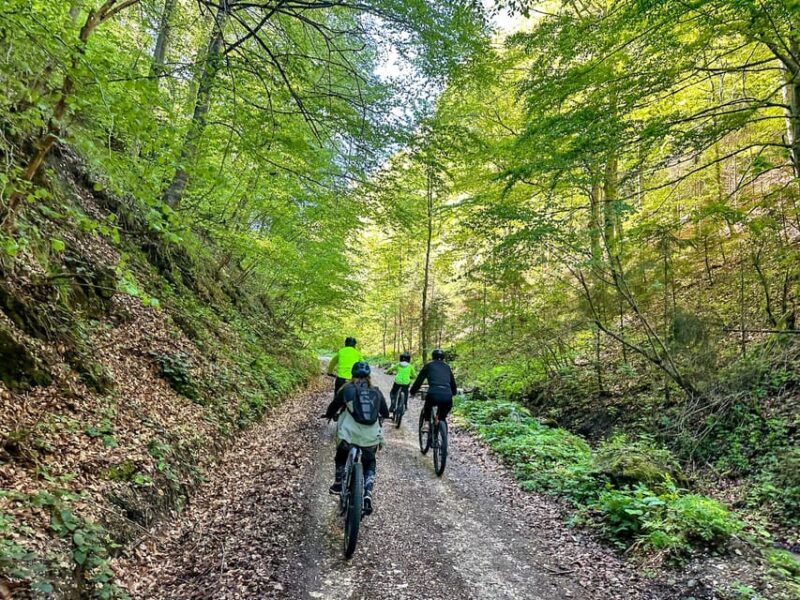 Brasov: eBike Tour to Poiana Brasov (Old Town & Forest) - Final Thoughts: Is It for You?