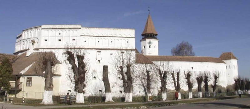 Brasov: Hrman, Prejmer and Feldioara Half-Day Tour - What Makes This Tour Stand Out?