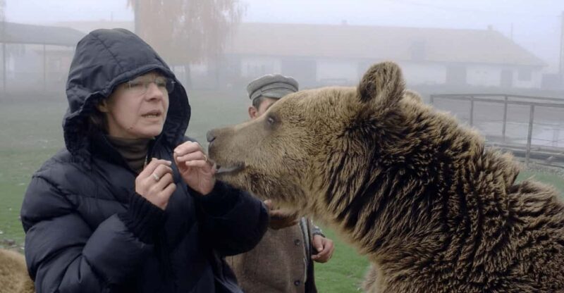 Brasov: Libearty Bear Sanctuary - Good To Know