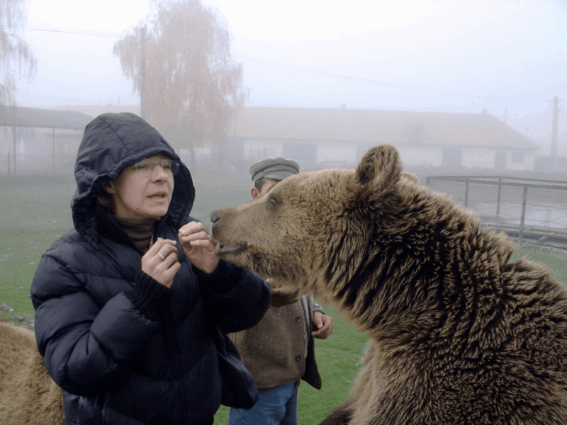 Brasov: Libearty Bear Sanctuary - Experience Highlights