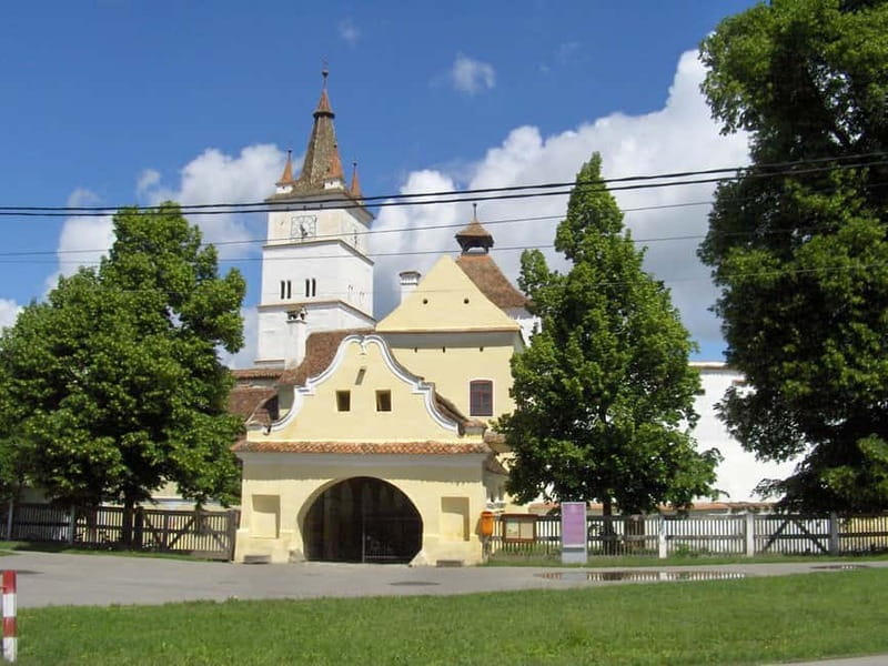 Brasov: Saxon Fortified Churches Day Tour with Guide - Exploring the Saxon Heritage: A Practical Review of the Brasov: Saxon Fortified Churches Day Tour