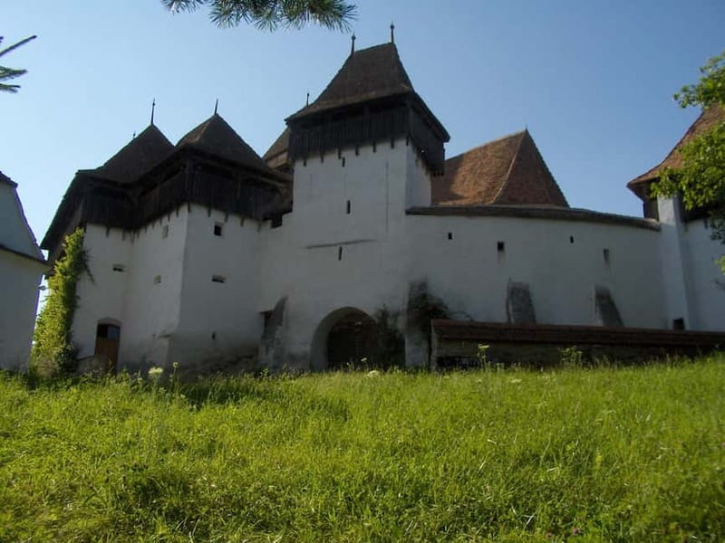 Brasov: Saxon Fortified Churches Day Tour with Guide - Why This Tour Stands Out