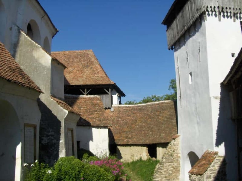 Brasov: Saxon Fortified Churches Day Tour with Guide - The Experience and Practicalities