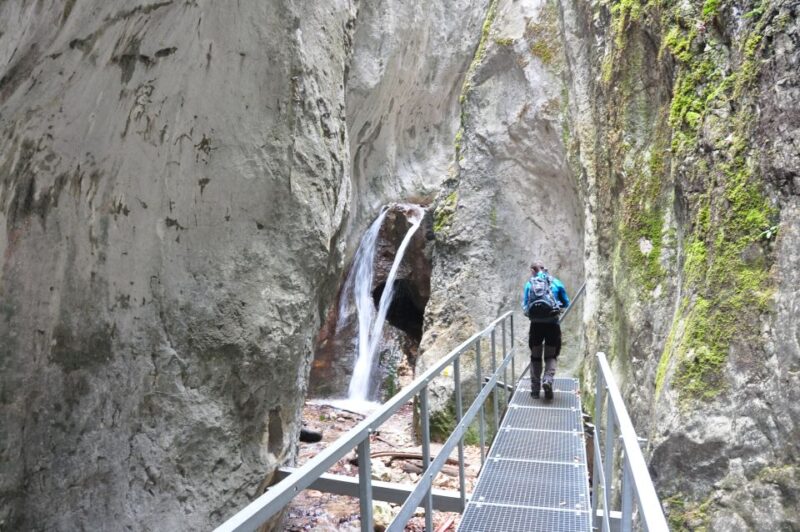 Brasov: Small-Group 7 Ladders Canyon Day Trip - Customer Reviews and Ratings