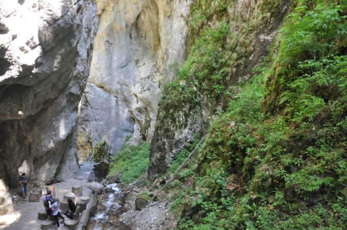 Brasov: Small-Group 7 Ladders Canyon Day Trip - What to Expect on the Trip