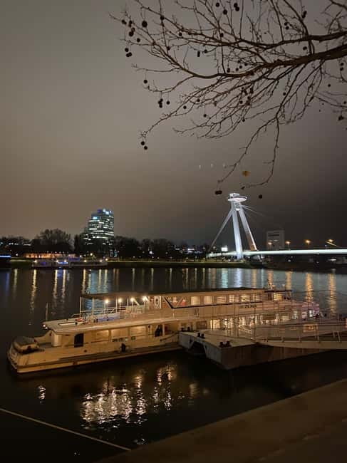 Bratislava: Panorama Cruise on the Danube River - Authentic Reviews and Traveler Insights