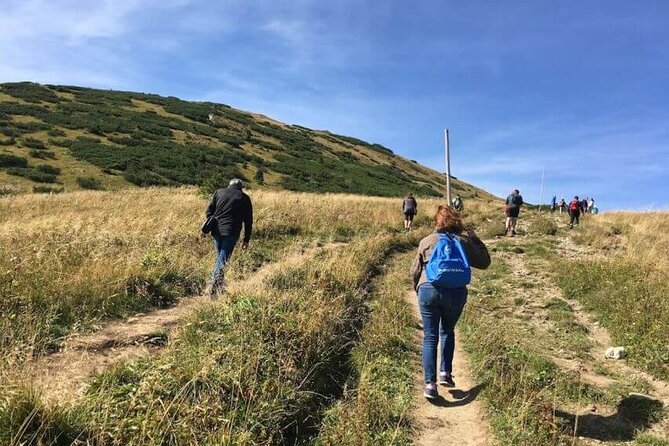Bratislava: Small Fatra Mountains Guided Hike - Customer Reviews and Ratings