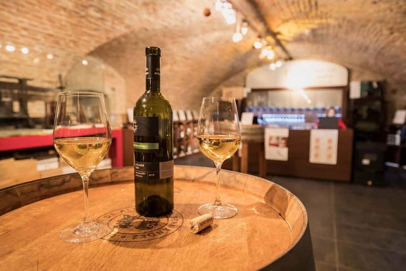 Bratislava: Wine Tasting with Sommelier - Who Should Consider This Tour?