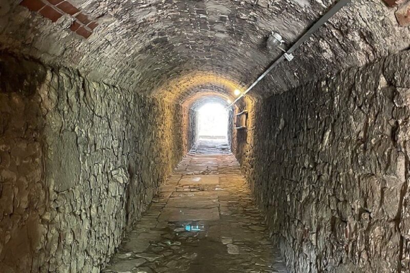 Braunschweig: Private Tour to Ghosts, Witches & Vampires - Activity Highlights