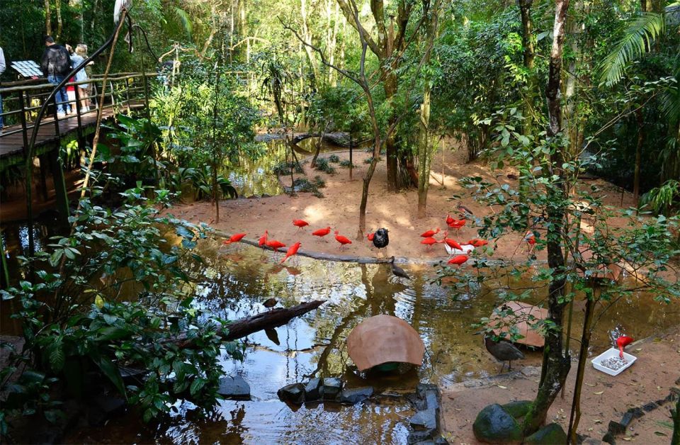 Brazilian Falls, Bird Park and Itaipu Dam - Key Points